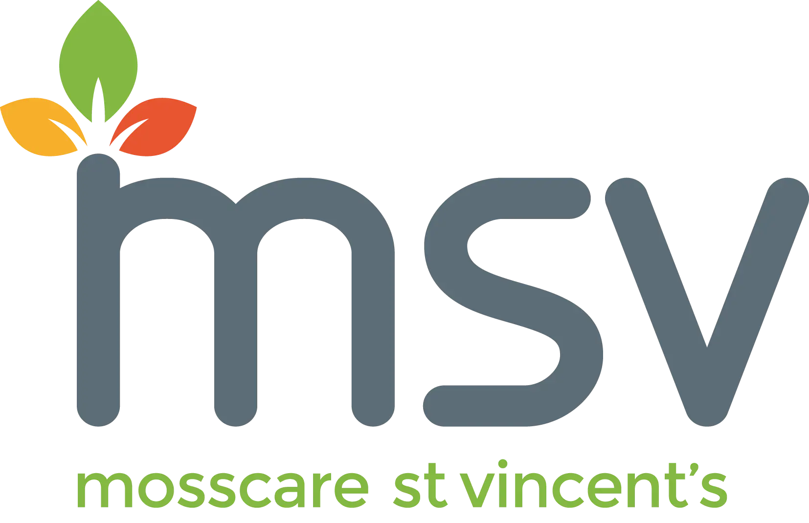 Rick Bartlett, Director of Customer Experience, MSV Housing